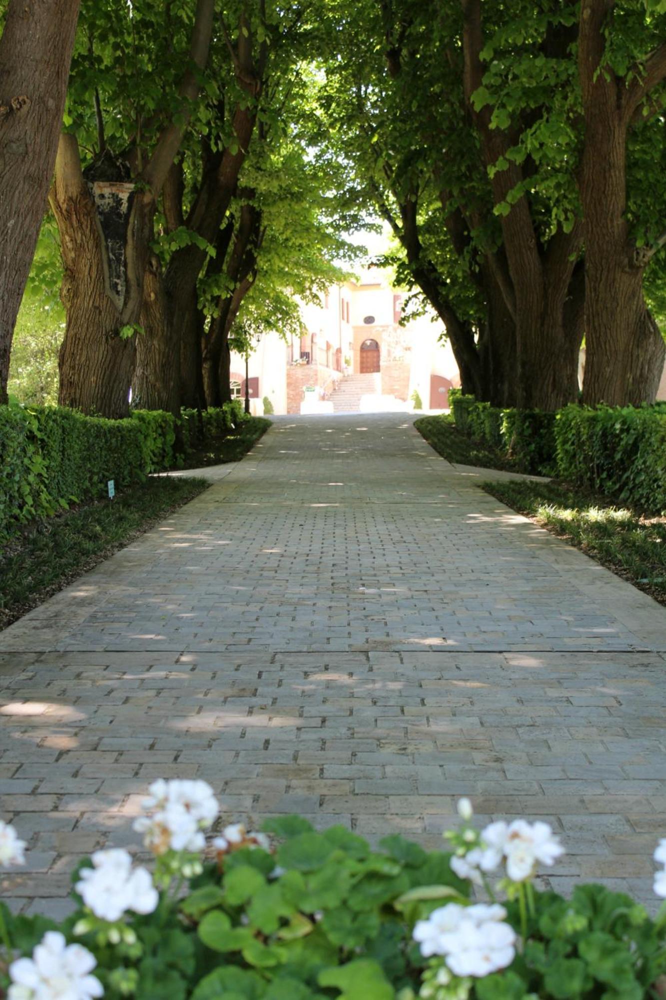 Palazzo Del Poggiano Bed & Breakfast Poggio Berni Exterior foto